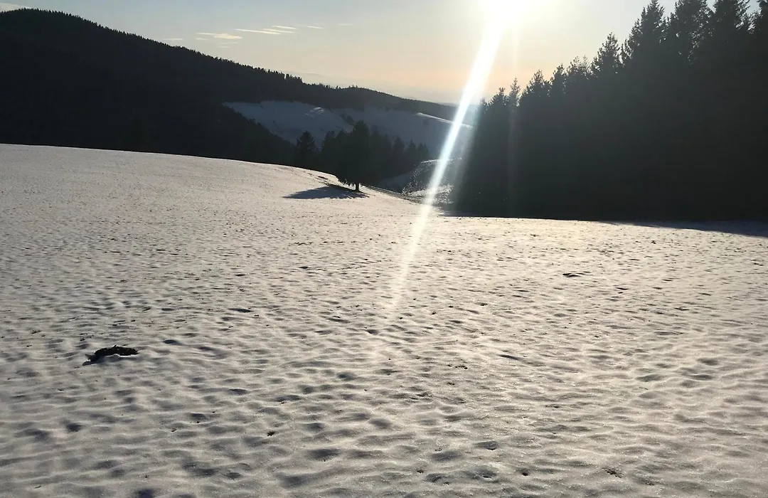 Waldhotel Auerhahn Hochkopfhaus-1
